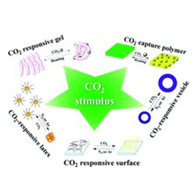 Carbon dioxide responsive polymers