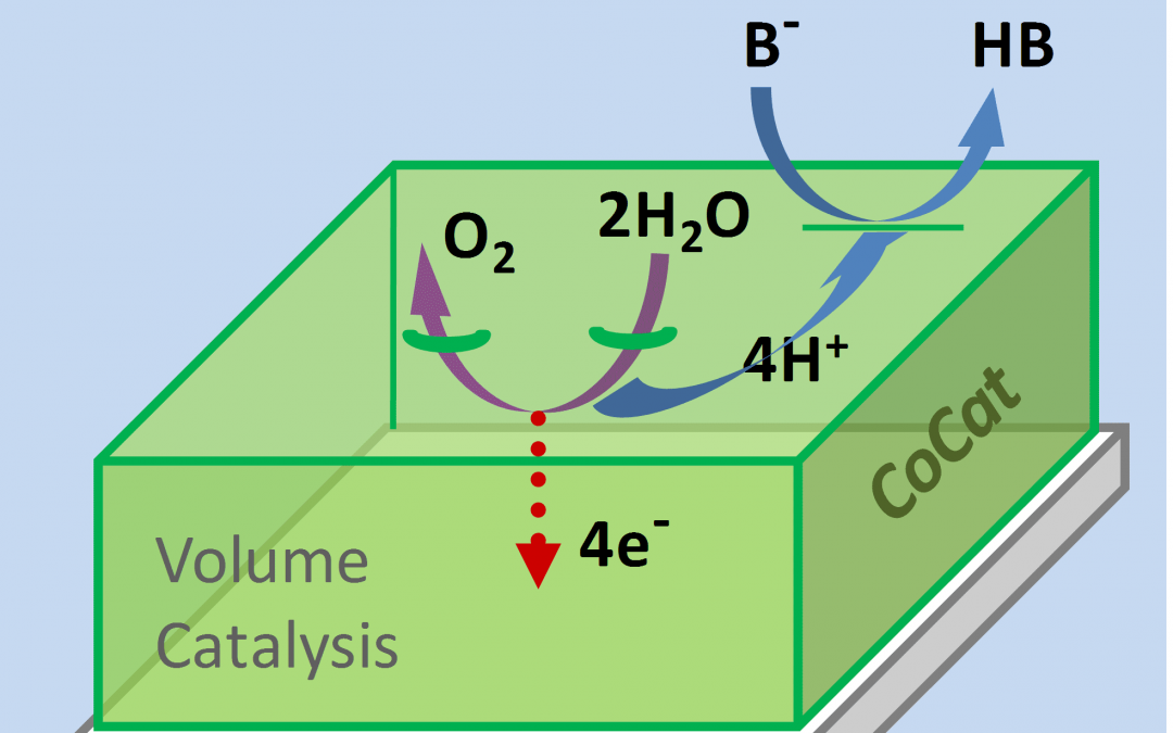 Not just skin-deep: Water oxidation by amorphous cobalt-based oxides