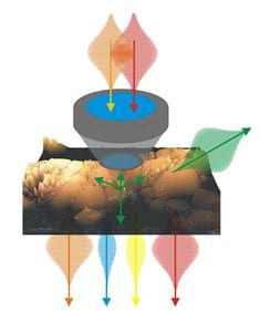 Exploiting synergies – multimodal nonlinear imaging in the biomedical sciences