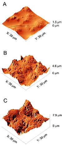 How safe are nanotubes in modern plastics?