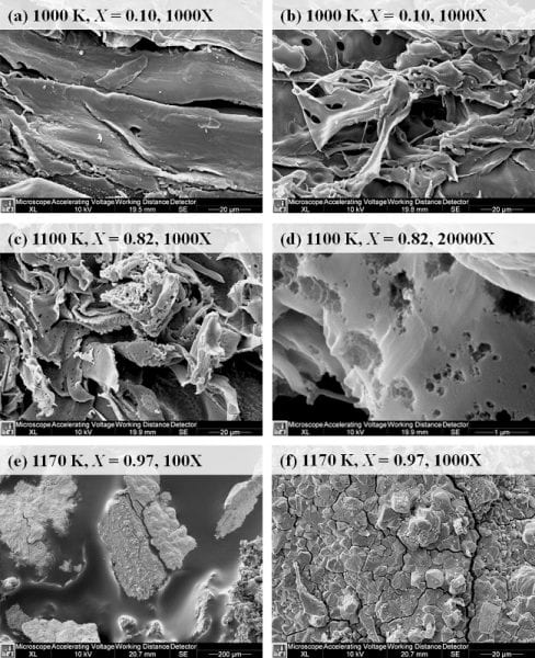 Studying the gasification of pinewood char