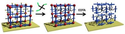 Tailor-made polymer gels for biology and medicine