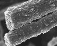 Forcespun composite carbon fibers from Fiberio setup