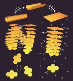 A Chemical Switch for Physical Release