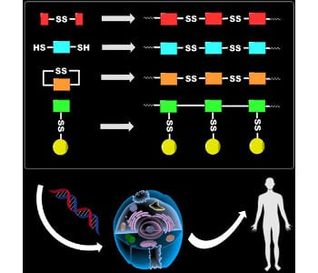 Nucleic Acid Delivery: Past, Present, and Future Trends