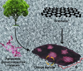 New lig in town: Renewable hybrid electrode based on lignin confined on reduced graphene oxide