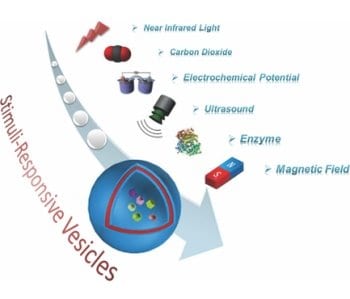 Hottest Articles in Macromolecular Rapid Communications