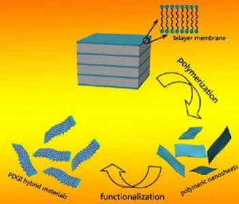 From lamellar bilayer membranes to single-bilayer-thick polymeric nanosheets