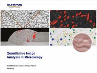 Quantitative image analysis in microscopy