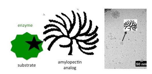 Characterization and standarization of polysaccharide biocatalysis