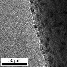 Tailoring carbon nanotubes to deliver genes
