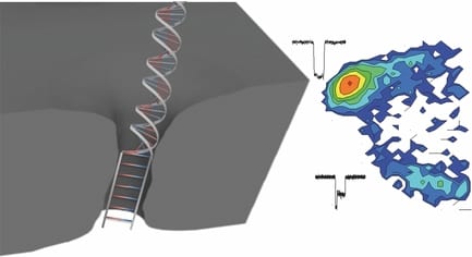 Sub 2-nm solid-state nanopores: smaller pores can see more