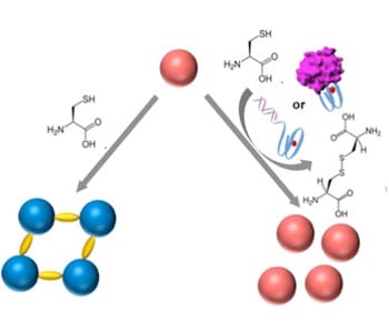 DNAzyme controlled aggregation of gold nanoparticles for DNA sensors and aptasensors