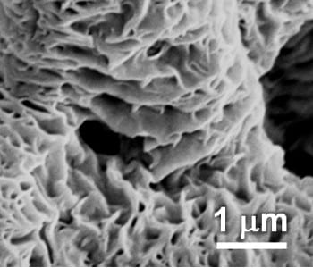 Annealing nanostructures onto electrospun fibers