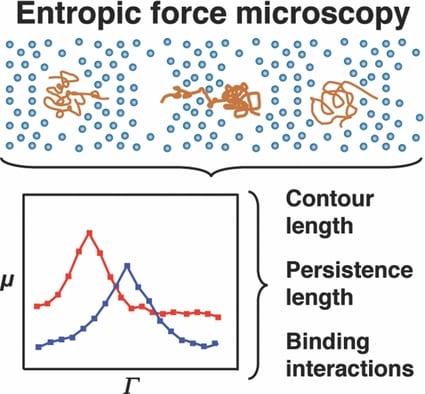 Nano-confinement reduces the chaos of DNA interactions: Bringing order to chemotherapy