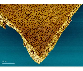 Porous polymer membrane can flex its muscles