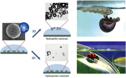 Bioinspired bubble-generated system