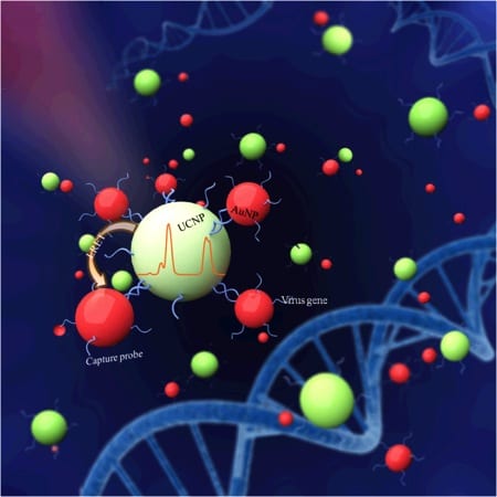 Upconversion nanoparticles as biosensors