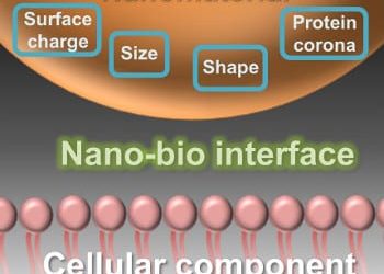 Getting back to the basics of nanomaterials for better nanomedicine