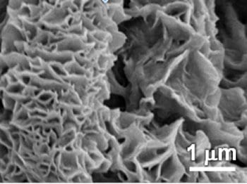 Solvent vapor annealing: secondary nanostructures made easy