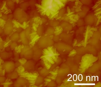 Solving the MXene capacitive paradox