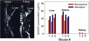 Nanoparticle concentration measured acoustically