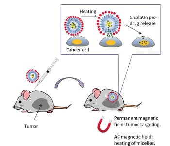 Thermosensitive magnetomicelles – a closer look at antitumor pro-drug delivery