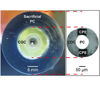 Flexible probes for spinal cord integration