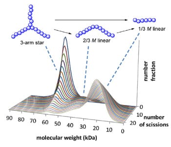 Modeling the degradation of star polymers