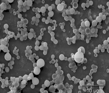 Cancer treatment based on PLGA microparticles