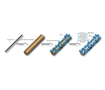 Molybdenum disulfide nanosheets married with carbon nanofibers for high-energy batteries