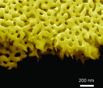 Improved MoS2 catalysts for hydrogen production