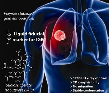 Liquid gold nanogels enhance radiation therapy