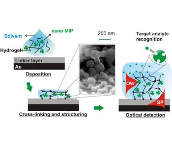 MIP sensors for direct optical detection