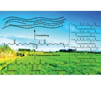 Step-growth polymerization in the 21st century