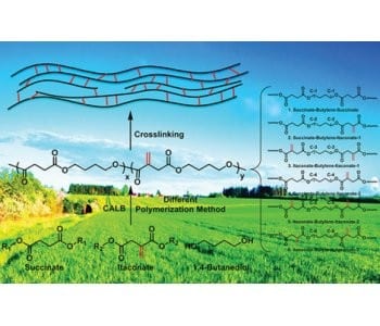 Step-growth polymerization in the 21st century