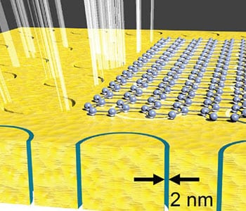Modified monolayer graphene interacts strongly with terahertz waves
