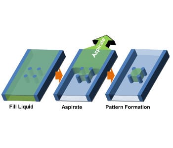 Exploiting surface tension for patterned cell co-cultures