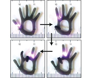 Protein-based bionanomaterial design