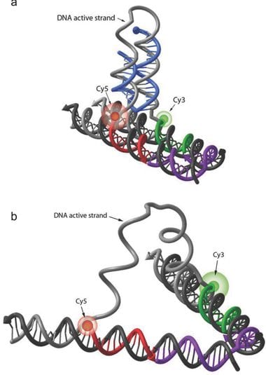 DNA-based Boolean logic