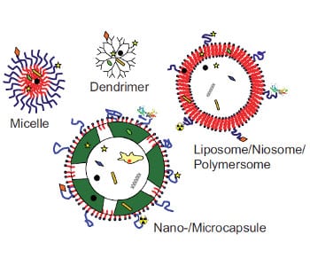 A wrap up of drug carrier designs and their applications