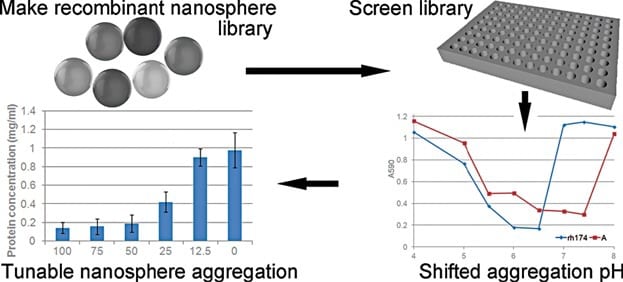 Engineering protein nanoparticles from amelogenin