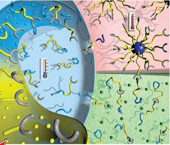 A Pandora's Box of New Materials – Metallopolymers