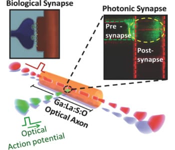 Advanced Optical Materials Top 5 – April 2015