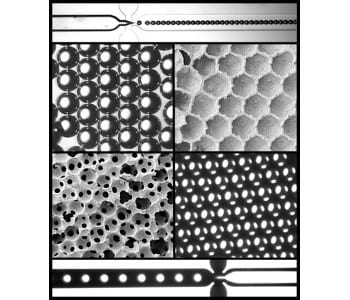 New Routes to Polystyrene Foams via Lab-on-a-Chip Techniques