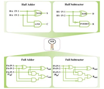 Molecular arithmetic operations on a single DNA platform