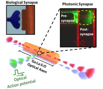 Neurophotonics: In Pursuit of an Inorganic Brain