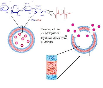 Polymer-based infection diagnostics