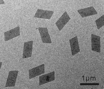 Sheet metal: Ultrathin metallic Rh nanosheets