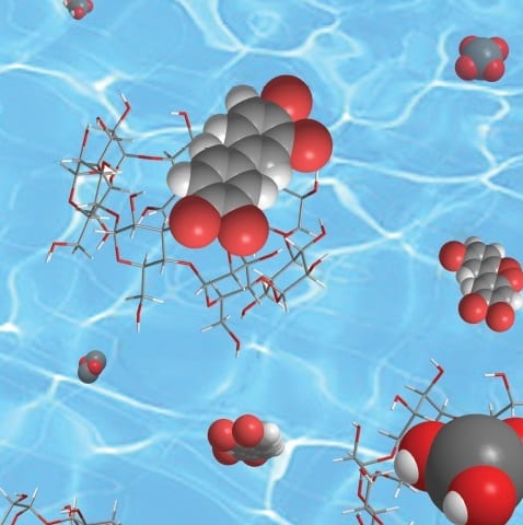 Sensitive Electrochemical Detection of Persistent Toxic Substances